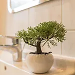 Apartamento Fewo-llojan