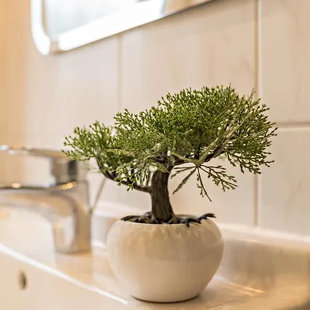 Appartement Fewo-llojan